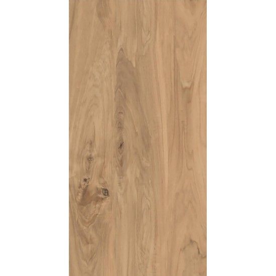 Πλακάκι Anima Brown 60Χ120 Καφέ Ματ Πλακάκι Anima Brown 60Χ120 Καφέ Ματ